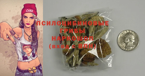 бошки Абинск