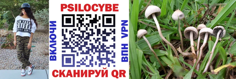 МЕГА ссылка  Оренбург  Галлюциногенные грибы Psilocybe 